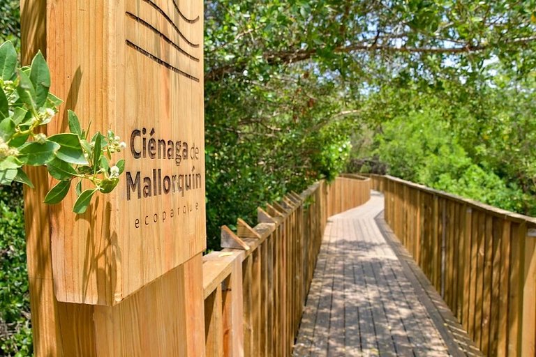 Apartamento Palmar –Cerca Buenavista by SOHO - 34A